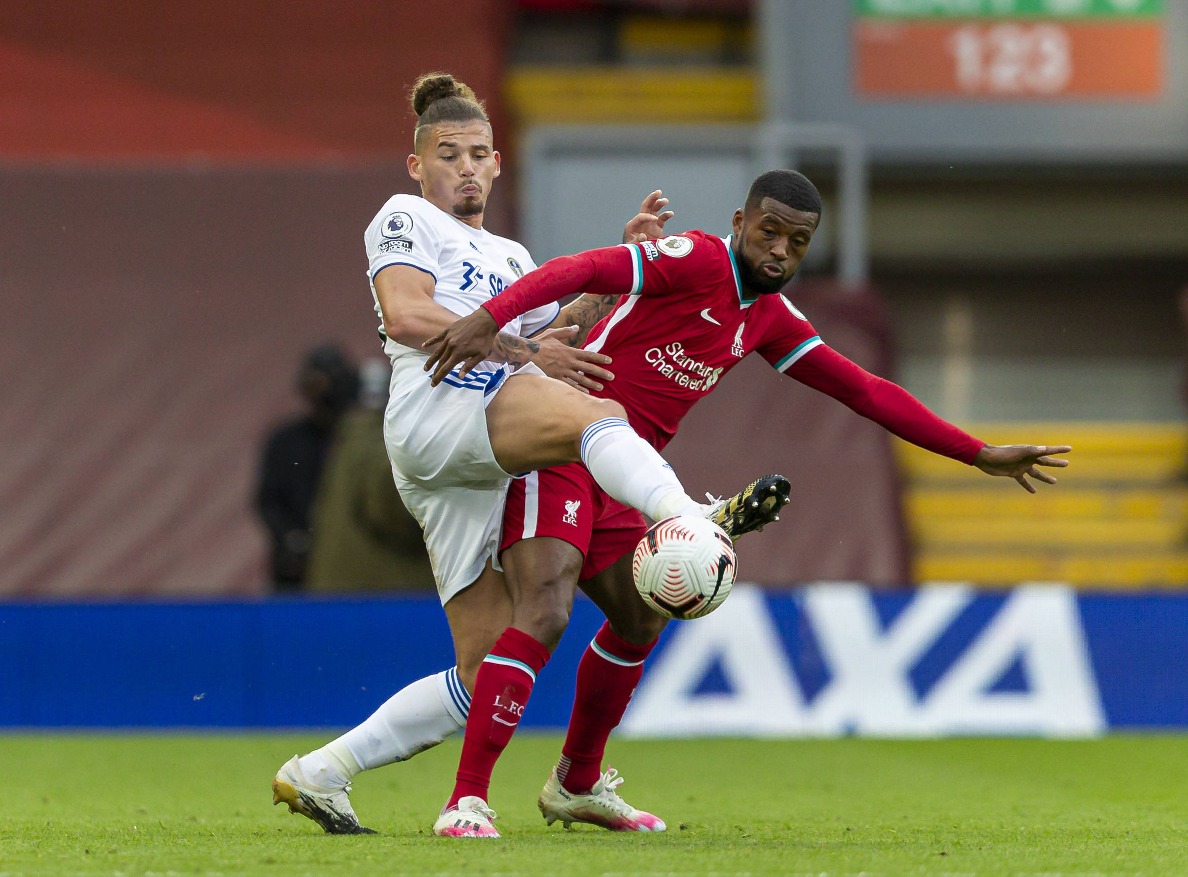 威兹德姆 威兹德姆